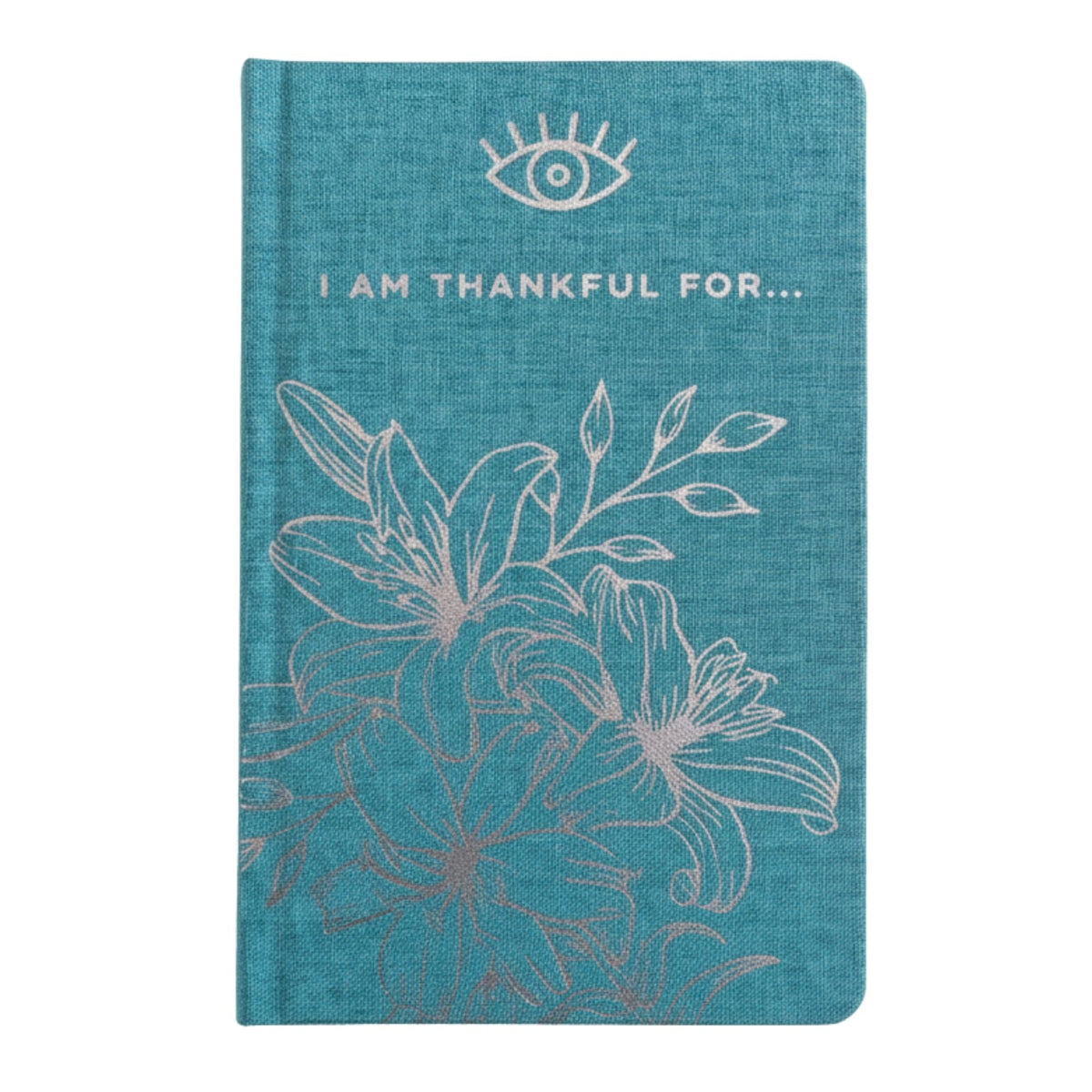 Blue Gratitude Journal with Silver Lining - 120 pages - I am Thankful For - Luna Temple