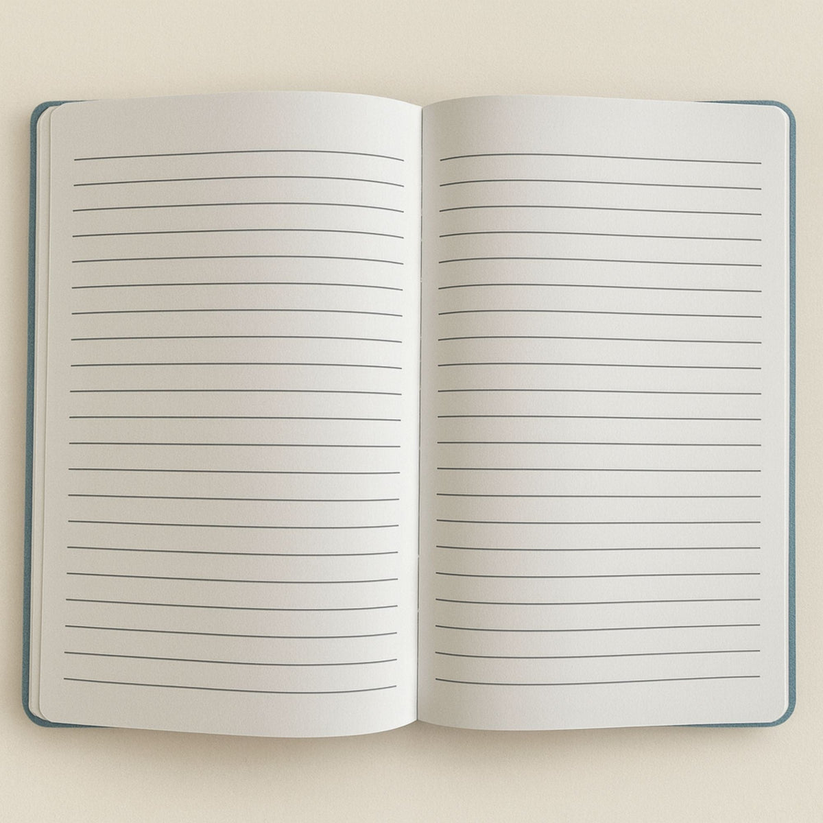 Light Blue Velvet Notebook - 80 pages - Embrace The Journey - Luna Temple