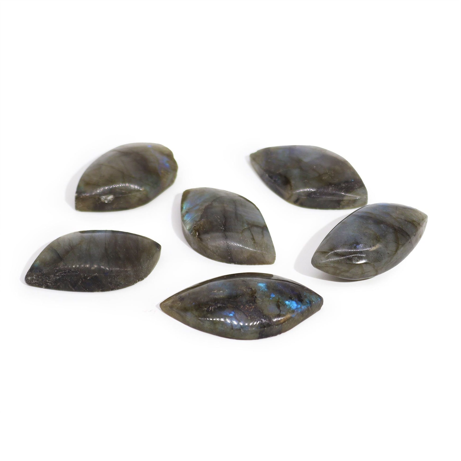 Madagascar Labradorite Leaf Stone - Luna Temple