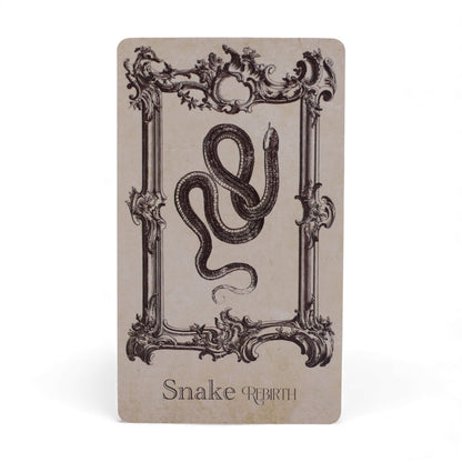 spellbook_oracle_witchcraft_card_deck