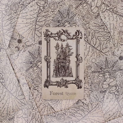 spellbook_witchcraft_oracle_card_deck